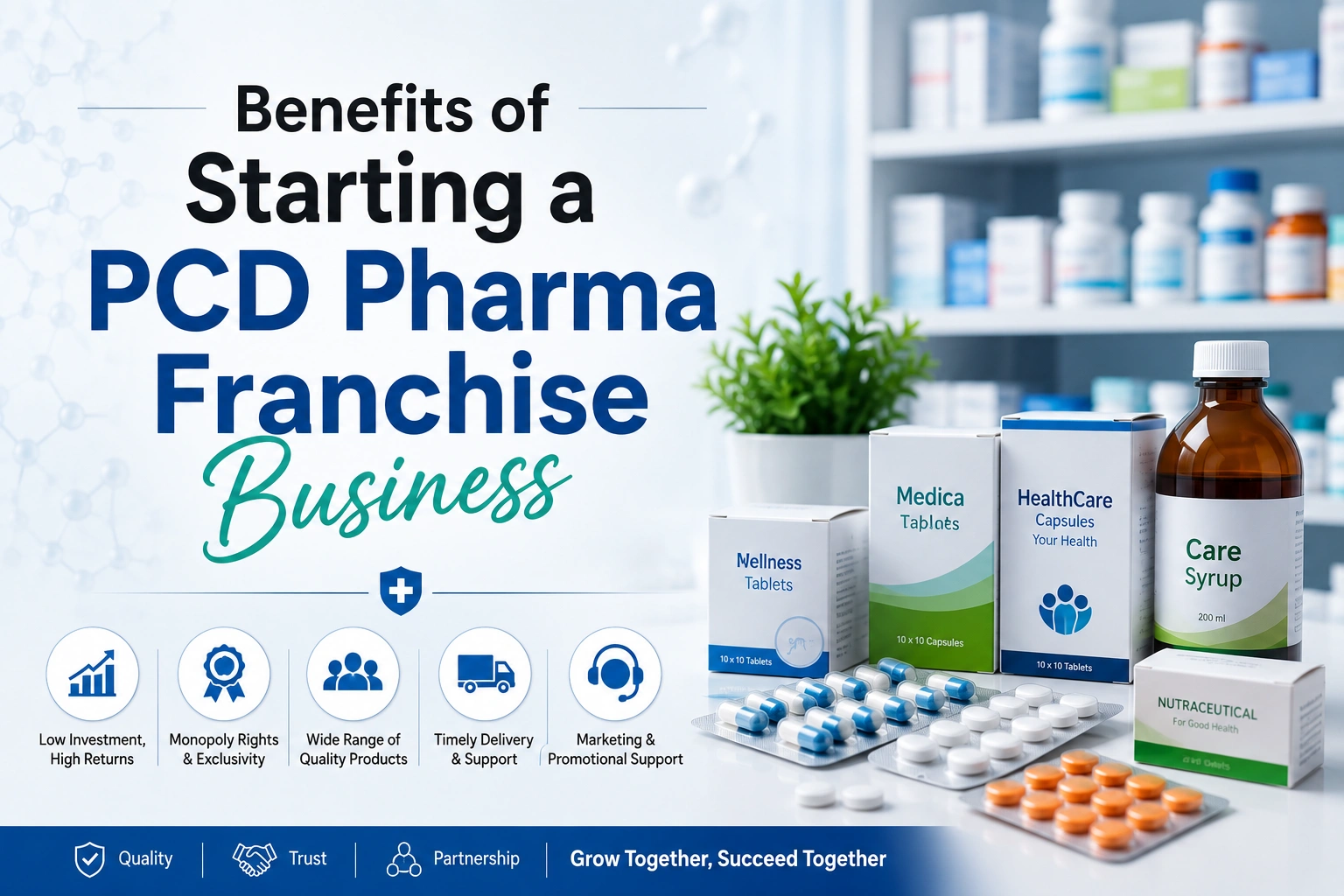 Benefits of Starting a PCD Pharma Franchise Business